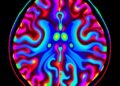 Synchrotron Micro-CT Reveals CNS Fluid Spaces In Vivo — Technology and Engineering