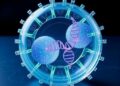 Synthetic Cell Microreactor with Dual Dynamic DNA Pores — Chemistry
