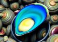 Thermal Tolerance Does Not Influence Blue Mussel Hybrid Zone Stability — Technology and Engineering