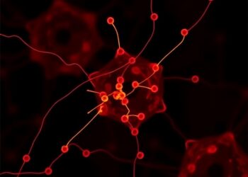 Thioflavin-T Derivatives: Novel One- & Two-Photon Amyloid Markers — Technology and Engineering