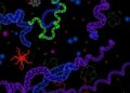Thousands of Novel Proteins Discovered in the Dark Proteome — Biology