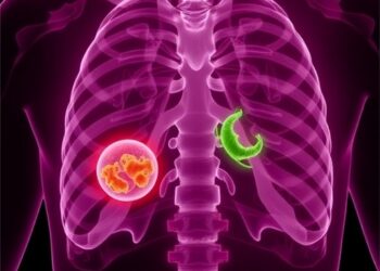 Transcription Attenuation Boosts Rifampicin-Resistant TB Weaknesses — Biology