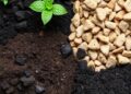 Transforming Waste into Advanced Carbon Materials for Enhanced Soil and Water Conservation — Technology and Engineering