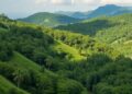 Turning Forestry and Farms Toward Conservation in Southeast Asia — Technology and Engineering