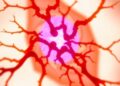 UM School of Medicine Secures $2.9 Million Federal Grant to Enhance Advanced Microscopy for Accelerating Neuroscience Breakthroughs — Medicine