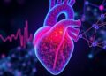 Uncertainty-Driven DMEFNet Boosts Heart Sound Modeling — Technology and Engineering