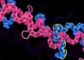 Unified Deep Learning Model Deciphers Peptide Spectra — Technology and Engineering