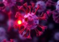 Unified Framework Predicts Mutation Effects in Immunity — Technology and Engineering