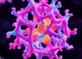 University of Cincinnati Structural Biologists Achieve World First in Visualizing Crucial Cell Protein — Biology