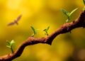 Using Epigenetics to Monitor Environmental Arsenic Exposure — Chemistry
