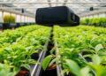 Your Private VR Greenhouse: Remotely Monitor and Manage Crops with Cutting-Edge Technology — Agriculture