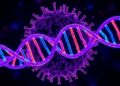 αKG Boosts DNA Repair Through Histone Acetylation — Medicine