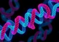 β-Arrestin Condensates Control GPCR Function — Medicine