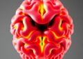 3D MRI Reveals Brain Injury in Obese Kids — Technology and Engineering