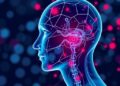 AI Model Detects Patients at Risk of Underdiagnosed Causes of Hypertension — Technology and Engineering