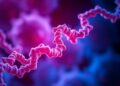 Activating Light Switch Protein Enhances Cancer’s Vulnerability to Treatment — Chemistry