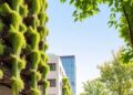 Beating the Heat: How Vertical Greenery Cools Urban Spaces — Technology and Engineering