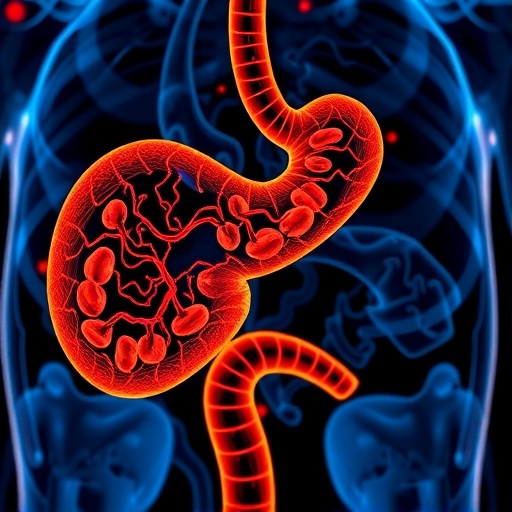 Breakthrough in Pancreatic Cancer Research Paves Way for Groundbreaking Clinical Trial — Cancer