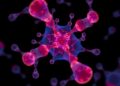Cancer Often Begins with Rapid Chromosome Changes in a Single Cell, Study Finds — Biology