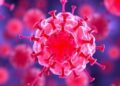 Certain Immune Cells May Hinder the Effectiveness of Cancer Immunotherapy — Biology