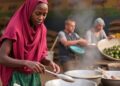 Clean Cooking and Remittances Slash Somalia’s Ecological Footprints — Technology and Engineering
