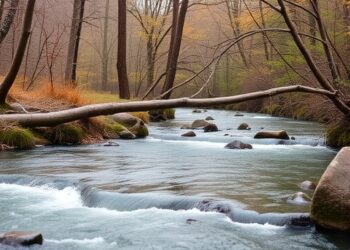 Costly River Reopening Projects for Fish Yield Mixed Results — A Guide for Smarter Investment in Conservation Planning — Biology