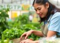 Cutting Food Waste: Key to Net-Zero Farming — Agriculture