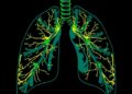 Decoding Bronchopulmonary Dysplasia: Integrating Physiological Data — Technology and Engineering