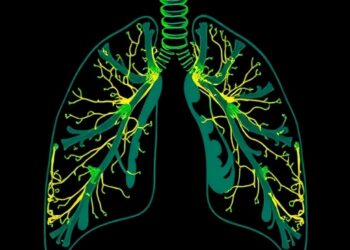 Decoding Bronchopulmonary Dysplasia: Integrating Physiological Data — Technology and Engineering
