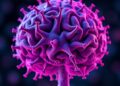 Decoding Ebola Persistence in Human Brain Organoids — Biology