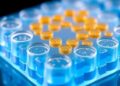Decoupling Scaffold and Microenvironment Paves the Way for Chitosan Hydrogels in Flexible Electronics — Chemistry