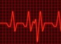 Deep Learning Reveals ECG Sudden Death Marker — Medicine