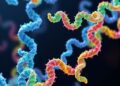 Distinct Energetic Blueprints Expand Conserved Protein Functions — Chemistry