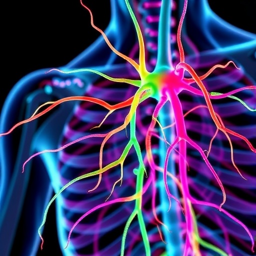 Dynamic Biophysical Coupling Advances Peripheral Nerve Interfaces — Technology and Engineering
