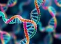 Dynamic Cross-Strand Interactions Boost DNA Language Models — Technology and Engineering
