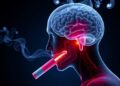 E-Cigarette Aerosol’s Neurotoxic Impact on Developing Brain — Technology and Engineering