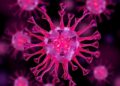 EV-Encapsulated miRNAs: Unlocking the Secret Code of Systemic Immune Communication — Biology