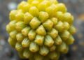 Eco-Friendly Pistachio Carbon Boosts TiO₂ Photocatalysis — Technology and Engineering