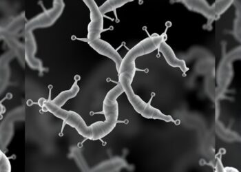 Enhanced Riboflavin Production Achieved in Bacillus subtilis through Transporter Engineering — Biology