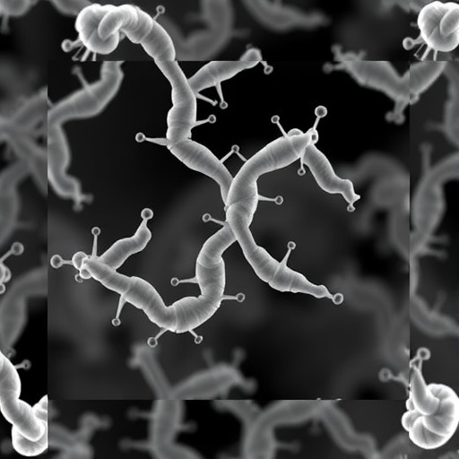 Enhanced Riboflavin Production Achieved in Bacillus subtilis through Transporter Engineering — Biology