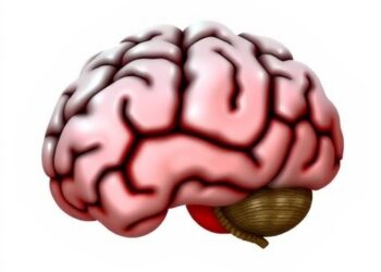 Evaluating Neuroprotective Drugs in Neonatal Rodent Brain Injury — Technology and Engineering