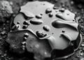 From Cleaner “Cracking” to Black Gold: A Scientific Breakthrough — Chemistry