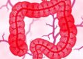 GPR15+ CD8+ Tregs Combat Intestinal Inflammation — Medicine