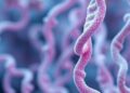 Genome Models Reveal Vaginal Microbes as Probiotics — Biology