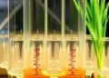 Glutenite Reservoir Permeability via Variable T2 Cutoff — Technology and Engineering