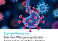Gut Phage Molecular Anchors: A New Frontier for Therapeutic Innovation — Technology and Engineering
