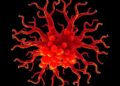 HKUST Researchers Uncover Mechanisms of Rare Respiratory Disease Using Super-Resolution Microscopy — Technology and Engineering