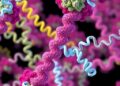 Heterochiral Design Yields Potent Class B1 GPCR Agonists — Chemistry