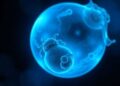 How Advanced Maternal Age Disrupts Embryo Development by Altering Fatty Acid Activation — Biology