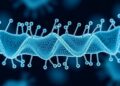 How Bacteria Recognize Structure in Tat Transport — Biology